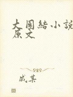 大团结小说阅读原文