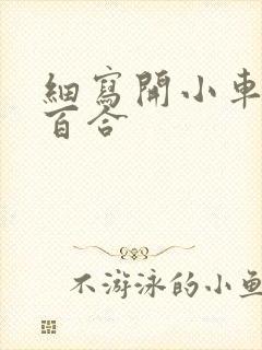 细写开小车车的百合