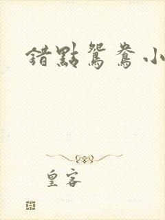 错点鸳鸯小说