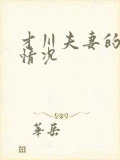 才川夫妻的恋爱情况