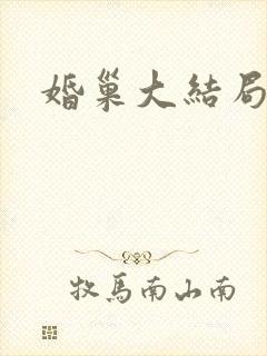 婚巢大结局