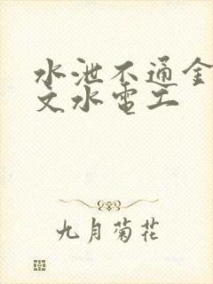 水泄不通金银原文水电工