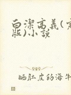 白洁高义(完整版)小说