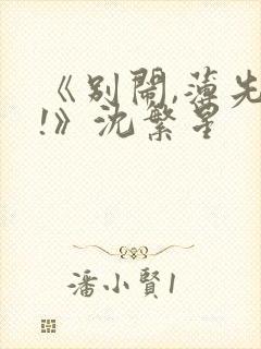 《别闹,薄先生!》沈繁星