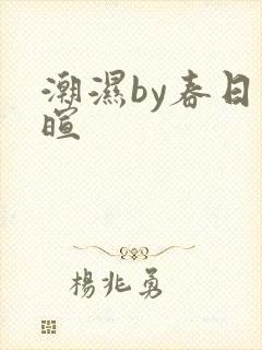 潮湿by春日负暄封面