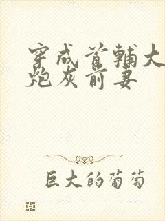 穿成首辅大人的炮灰前妻