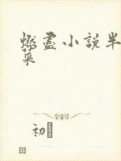 燃尽小说半截白菜