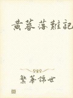 黄蓉落难记阅读封面