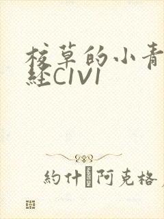 校草的小青梅不经C1V1