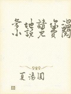 爹地请你温柔点小说免费阅读