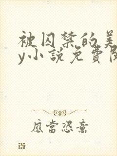 被囚禁的美人by小说免费阅读