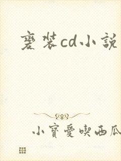 变装cd小说