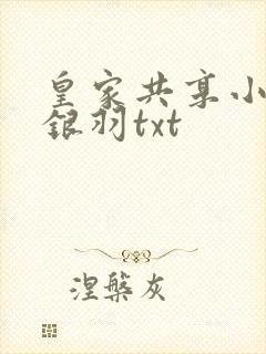 皇家共享小公主银羽txt