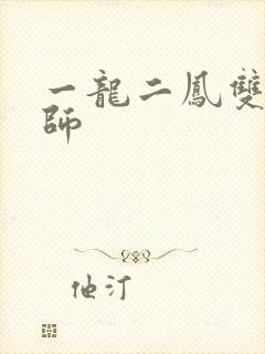 一龙二凤双飞老师