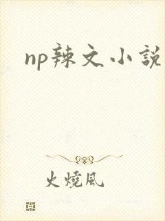 np辣文小说