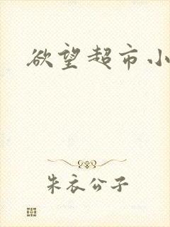 欲望超市小说