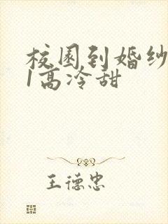 校园到婚纱1V1高冷甜封面