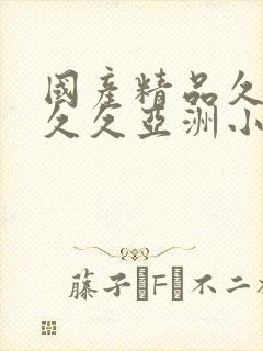 国产精品久久久久久亚洲小说