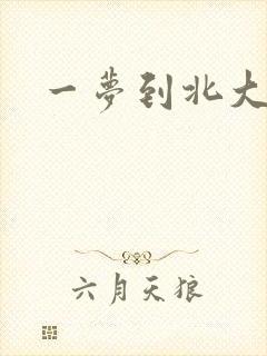 一梦到北大封面