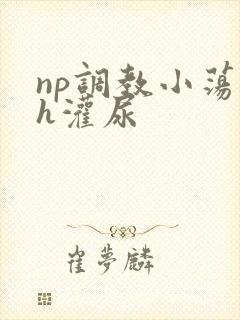 np调教小荡货h灌尿