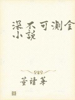 深不可测金银花小说