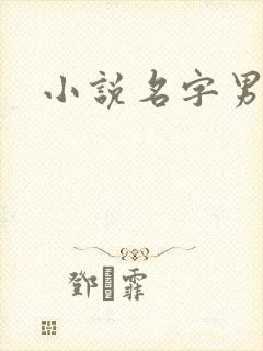 小说名字男生