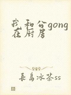 我和公gong在厨房