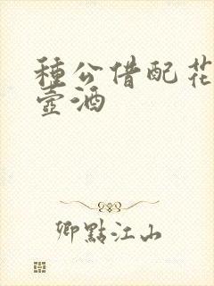 种公借配花间一壶酒