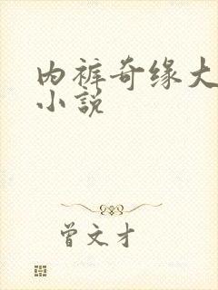 内裤奇缘大团结小说