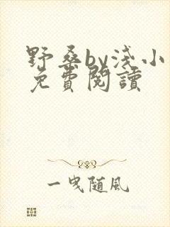 野桑by浅小说免费阅读