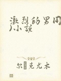 激烈的男同(h)小说