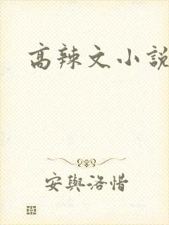 高辣文小说