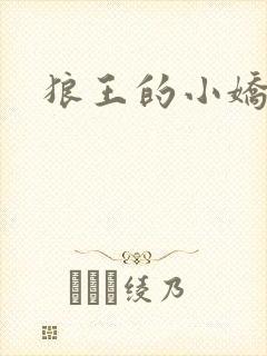 狼王的小娇妻