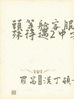 头等舱客服的特殊待遇2中字