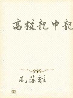 高校龙中龙