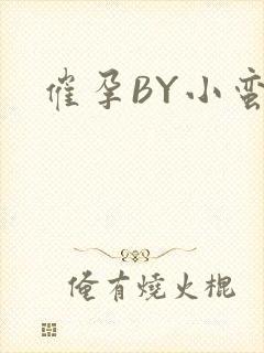 催孕BY小蛮腰