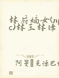 林府嫡女(npc)林玉林璋