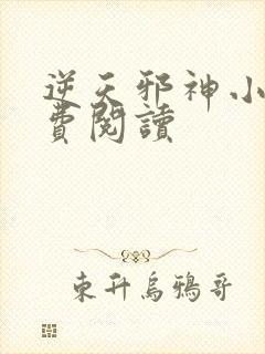 逆天邪神小说免费阅读