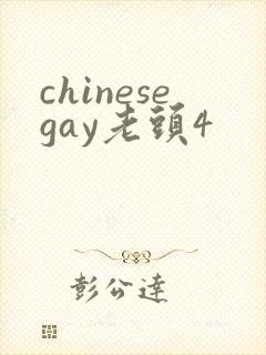 chinesegay老头4