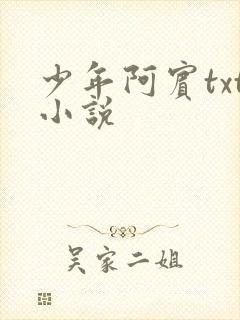 少年阿宾txt小说