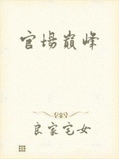 官场巅峰