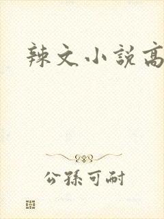 辣文小说高h