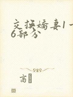 交换娇妻1一36部分