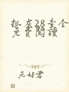 抓灰28章全部免费阅读