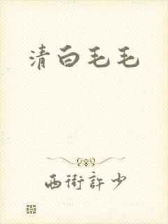 清白毛毛