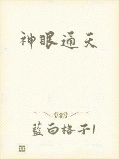 神眼通天