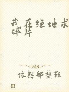 我在绝地求生捡碎片