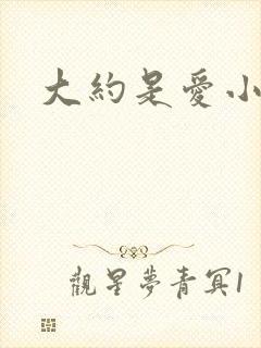 大约是爱小说