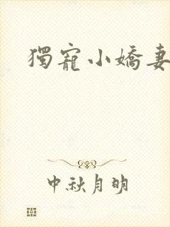 独宠小娇妻
