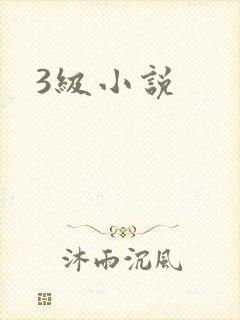 3级小说